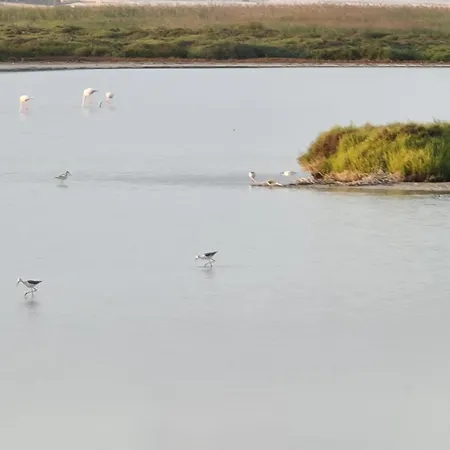 Ap-to Frente Al Mar Villaromana *