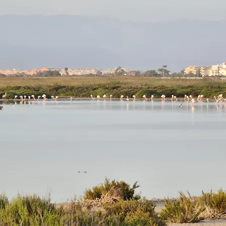 Apartment Ap-to Frente Al Mar Villaromana *