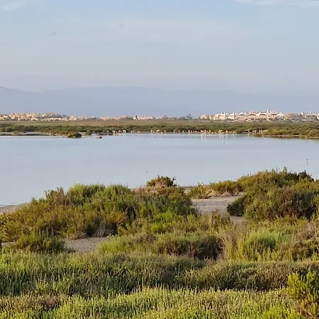 Apartment Ap-to Frente Al Mar Villaromana *